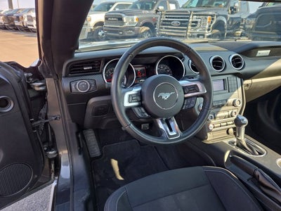 2019 Ford Mustang EcoBoost