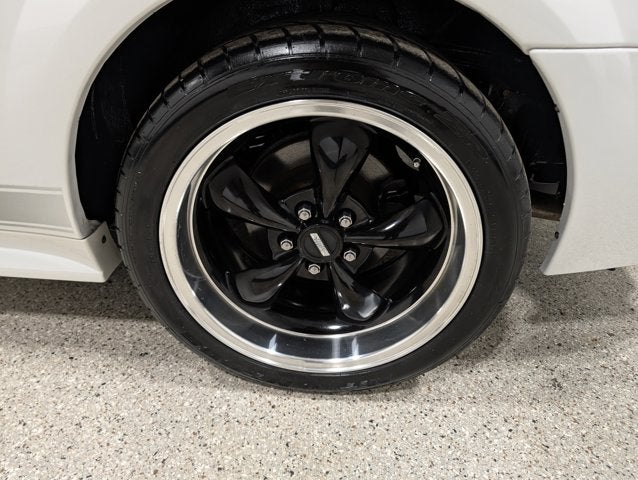 2004 Ford Mustang Premium Mach 1