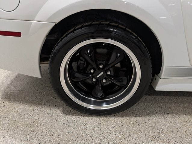 2004 Ford Mustang Premium Mach 1
