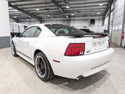 2004 Ford Mustang Premium Mach 1