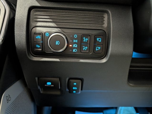 2025 Ford F-250 Super Duty Platinum