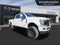 2019 Ford F-250 Super Duty Platinum