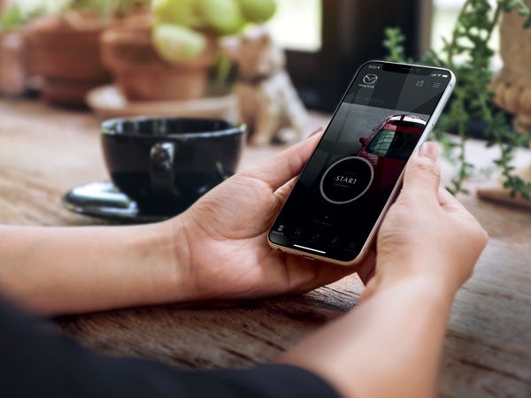 Baglier Mazda in Butler PA